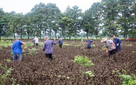 旱涝保收的工作是什么意思？