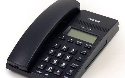 10100088是阳光车险电话吗？