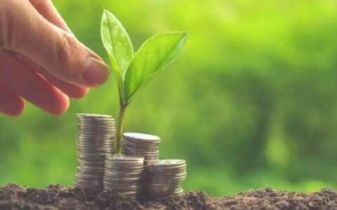 &ldquo;590002&rdquo;首次分红：每股派0.02元，股民喜迎&ldquo;开门红&rdquo;