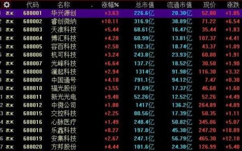 787开头的股票是什么？一文了解科创板新股申购代码