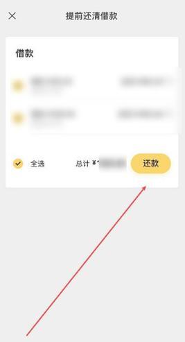 微粒贷只能自动扣款吗？