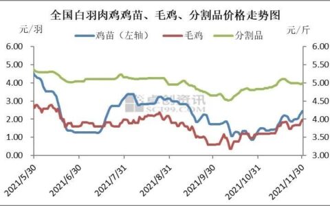 肉鸡价格行情：最新动态与未来趋势分析