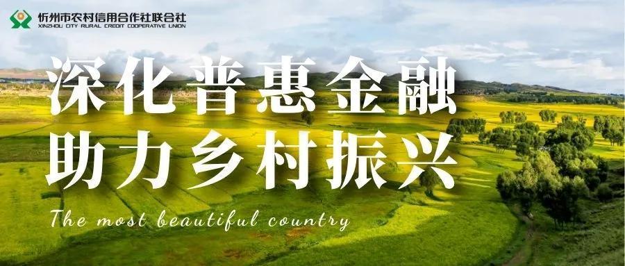 农业网上银行：便捷金融服务，助力乡村振兴