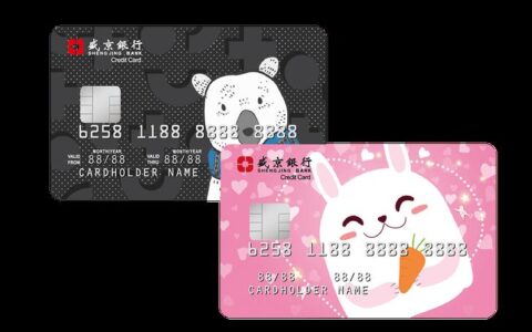 盛京银行信用卡：简介、权益和申请指南