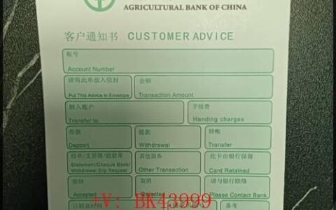 农行个人网银：便捷生活，尽在掌握