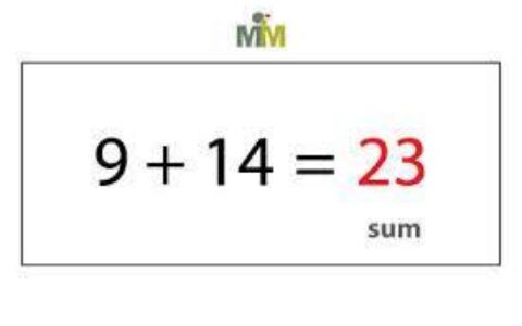 &sum;是什么意思？