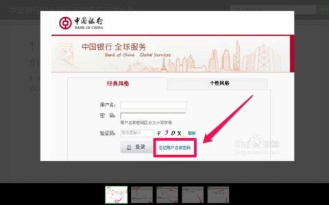 中国银行个人网上银行登录