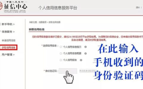 个人征信查询官网入口免费