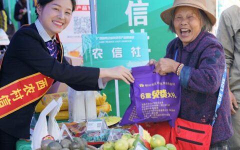 广西农村信用社小额贷款：助力乡村振兴，服务三农发展