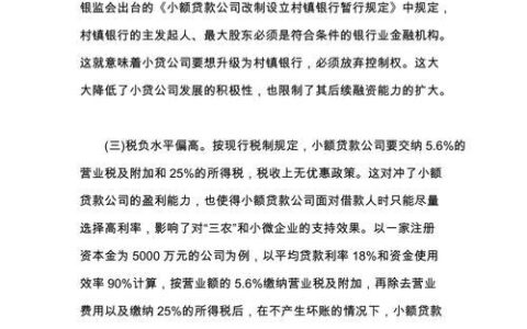 小额贷款公司：简介、业务和发展趋势