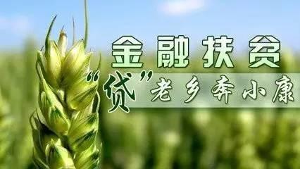 定远小额贷款：快速解决您的资金需求