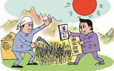 农村信用小额贷款：助力乡村振兴的金融活水