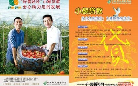 小额贷款哪个银行好？