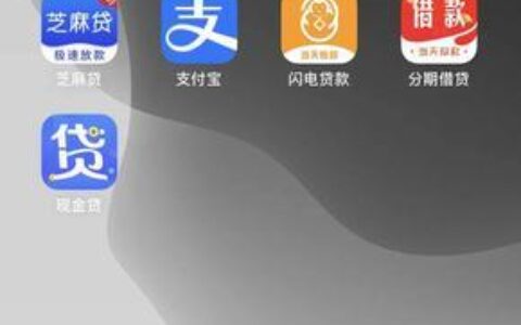 网贷中介：快速借贷的桥梁？