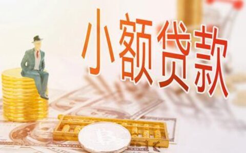 小额贷款哪里最可靠？几家主流平台解析