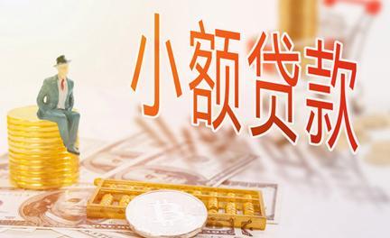 小额贷款哪里最可靠？几家主流平台解析
