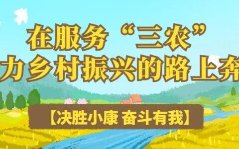 农村商业银行小额贷款：助力乡村振兴，服务三农发展