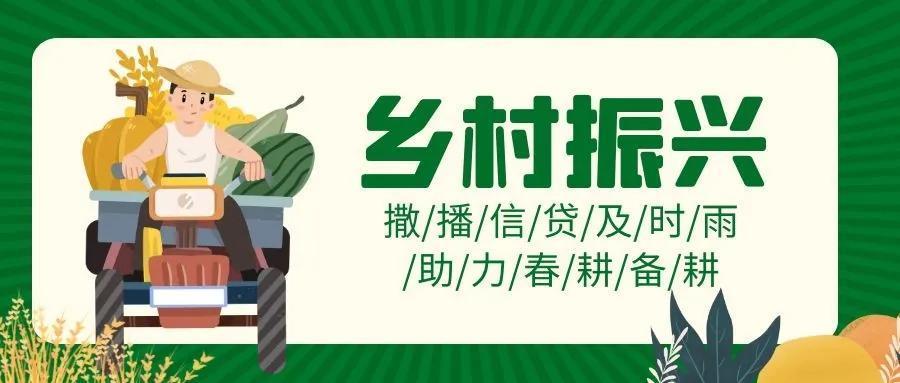 农信小额贷款：助力乡村振兴，服务三农发展
