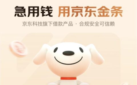 小额贷款1000元秒下款：快速解决燃眉之急