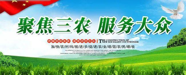 农村无抵押小额贷款：助力乡村振兴的金融活水