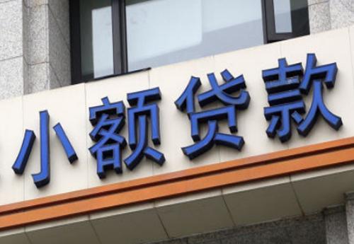 所有小额贷款公司