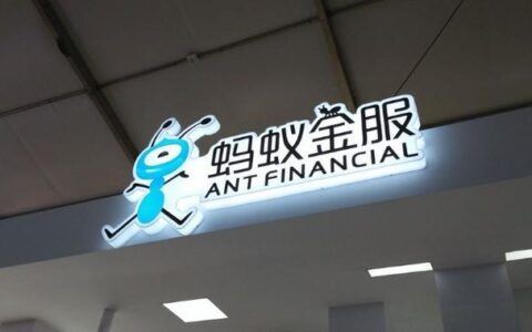 重庆市蚂蚁商诚小额贷款有限公司