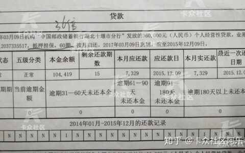 征信中其他贷款指什么？