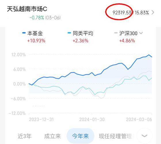 天弘越南市场股票基金：投资越南新兴市场的优质选择
