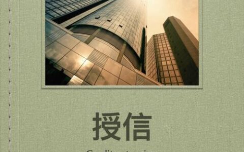 贷款中介咨询：快速获取贷款的捷径？