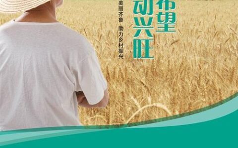 重庆供销小额贷款有限公司：助力乡村振兴，服务三农发展