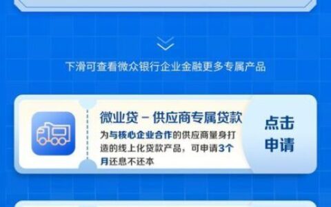 小额贷款平台开发：为小微企业和个人提供便捷金融服务