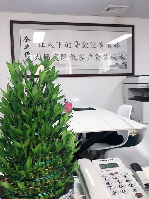 现在做贷款中介工作怎么样？