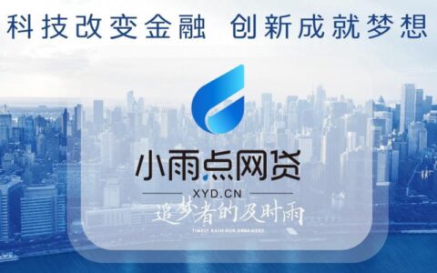 及时雨小额贷款公司：为小微企业和个人提供及时有效的金融服务