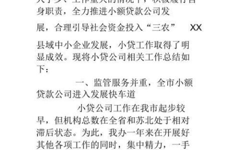 小额贷款工作总结范文