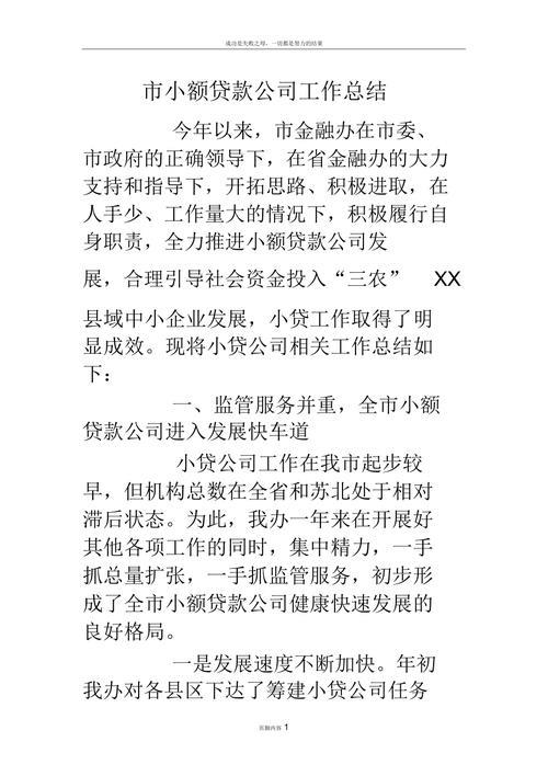 小额贷款工作总结范文