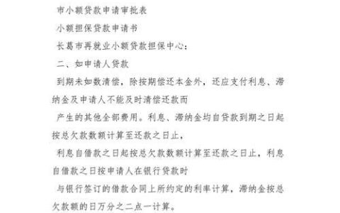 个人小额贷款申请书怎么写