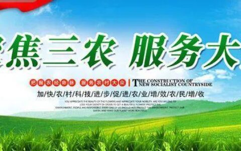 武陟县小额贷款：助力乡村振兴，服务实体经济