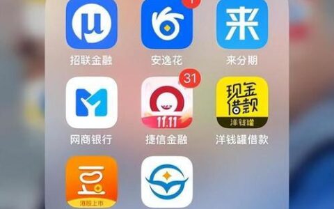 1000元的小额网贷：快速解决燃眉之急