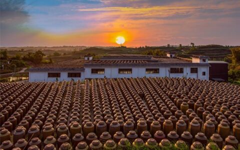 花果园贷款app：5天内从上线到下架的&ldquo;套路贷&rdquo;平台