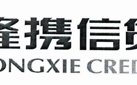 重庆隆携小额贷款股份有限公司：助力小微企业发展