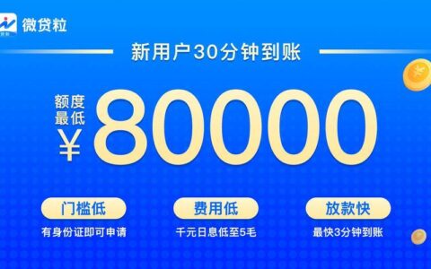 网上自动审核的贷款app：快速便捷的借贷体验