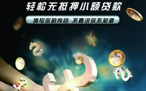 年轻人小额贷款平台：助力青年创业梦想