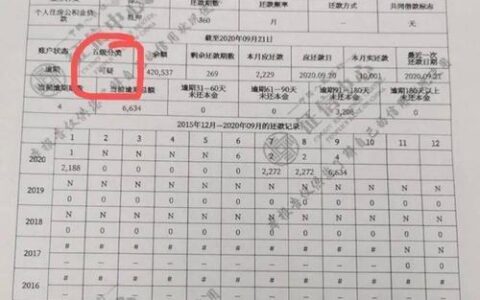 大白贷款上征信吗？