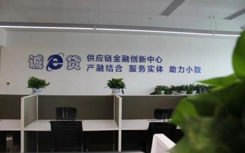 世联小额贷款：为小微企业和贫困人口提供金融服务