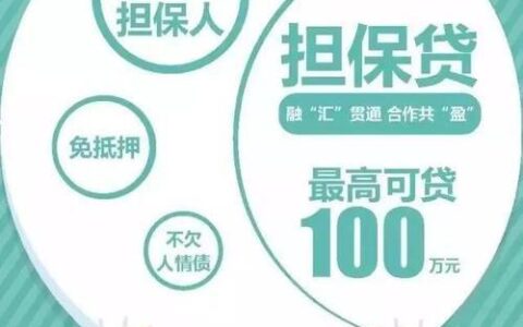 小额贷款担保机构：助力小微企业发展