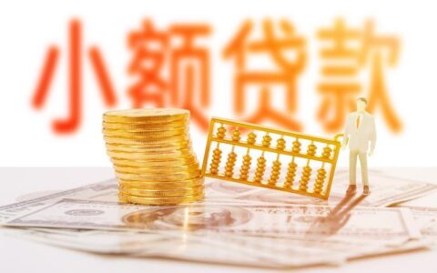 直接通过的小额贷款：快速获得资金的途径