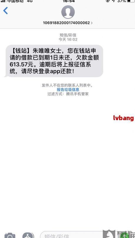 网商贷逾期1天借呗无法使用？逾期影响及解决办法