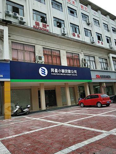 小额贷款公司：为小微企业和个人提供信贷服务的金融机构