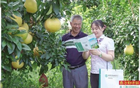 福清小额贷款宏路：助力乡村振兴，服务实体经济