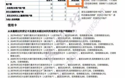 上征信的网贷大全：如何查询、影响和维护信用记录